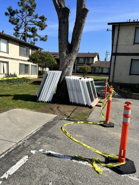 Project photo — PRO Builder project
