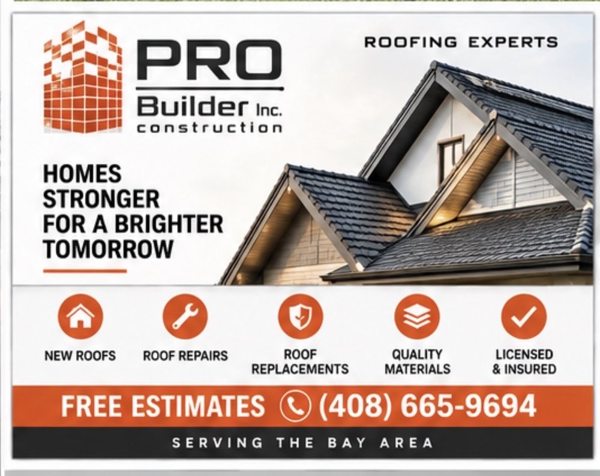 Project photo — PRO Builder project