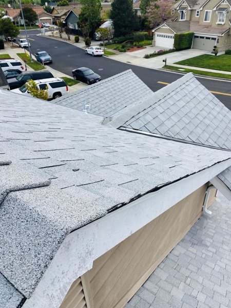 Completed roof — PRO Builder project